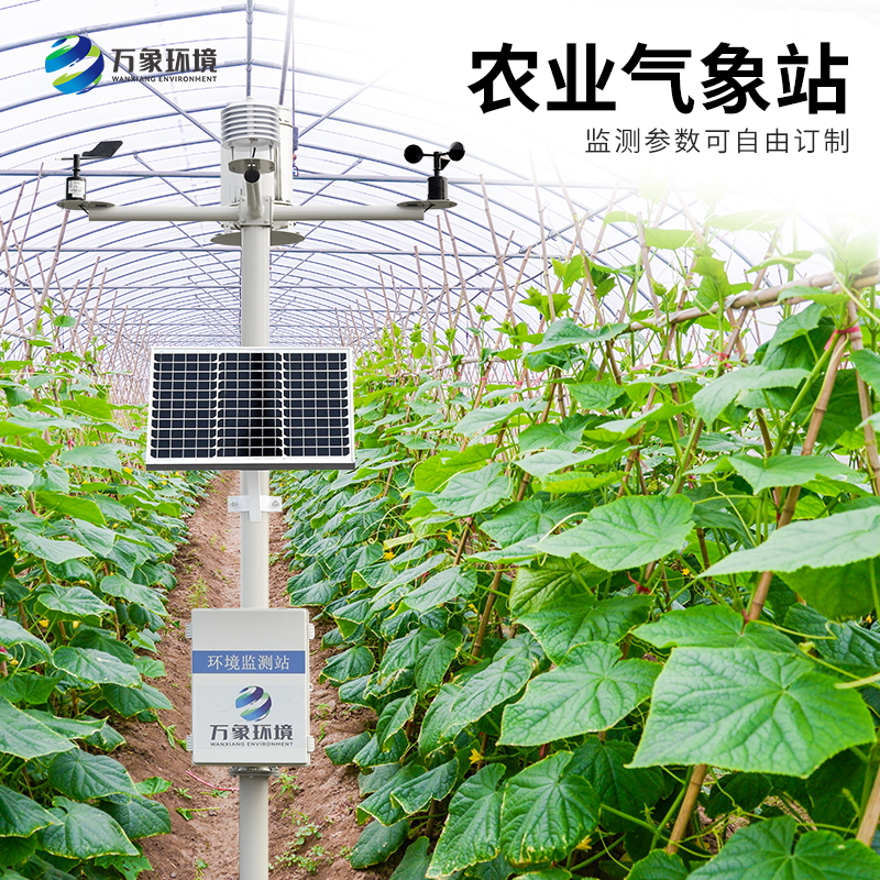 農(nóng)業(yè)全自動(dòng)氣象站 農(nóng)業(yè)全自動(dòng)氣象站