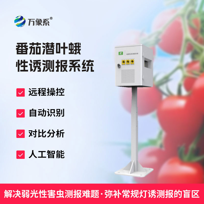 番茄潛葉蛾性誘測報系統(tǒng)